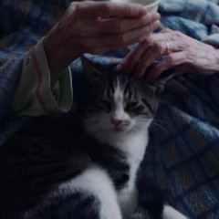 Norah