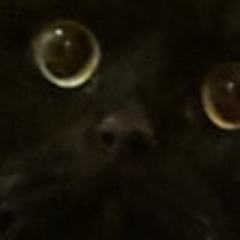 Jasper G