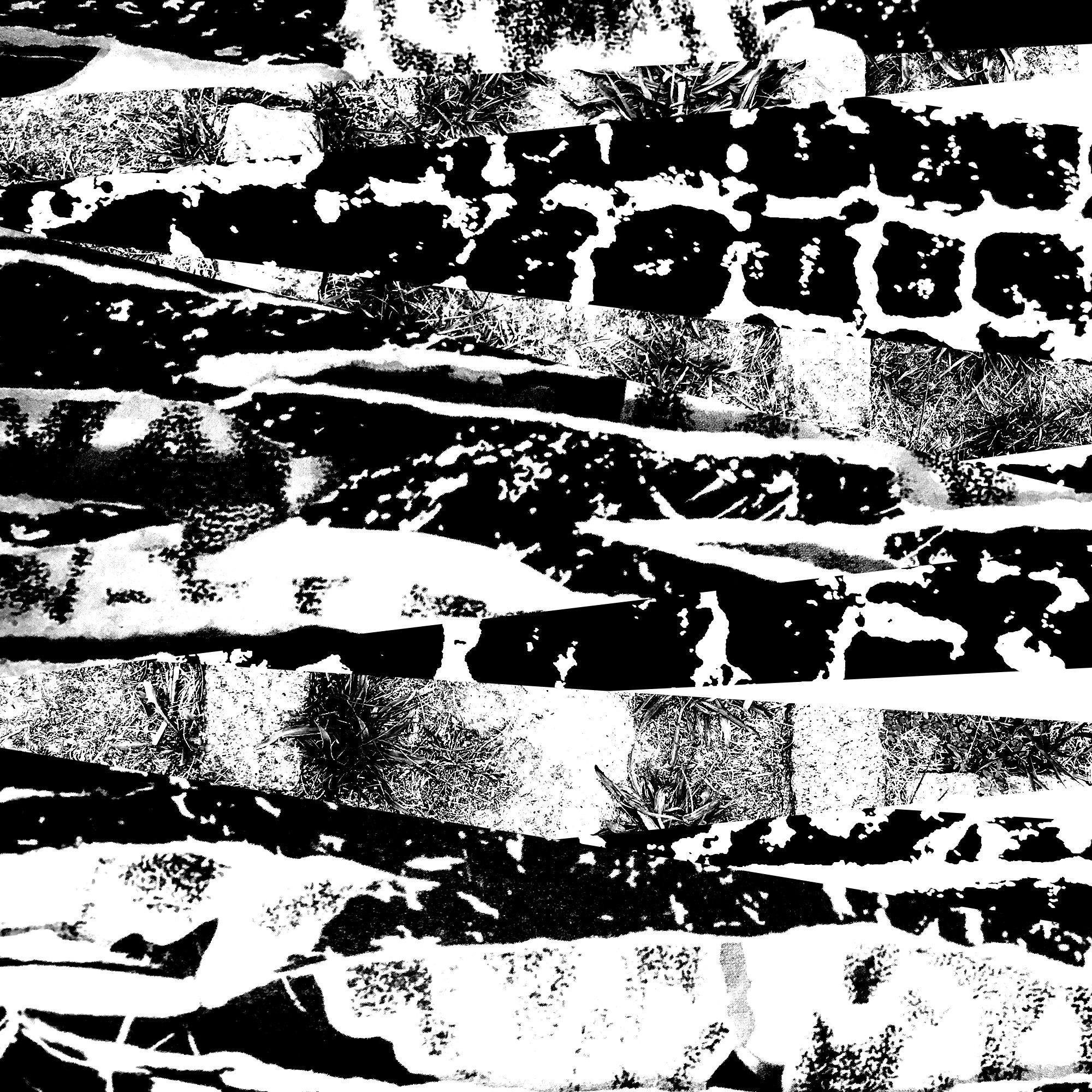 Nocturnal Hiss Research Archives