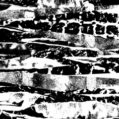 Nocturnal Hiss Research Archives