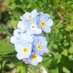 Myözo6🦋