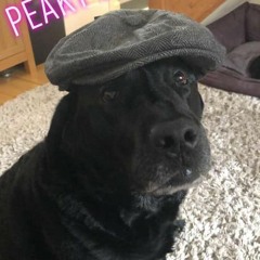 Antony T-Rex Darling