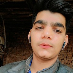 Hasnain Shahid