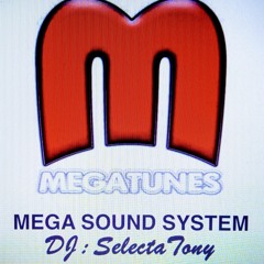 MegaTunes Disco.