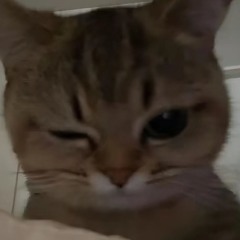 Hhhxxxx