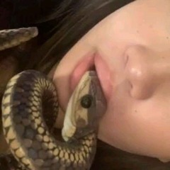 molly m