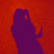 Poule Anonyme