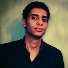 Ahmed Amer 91