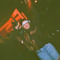 thais_2re