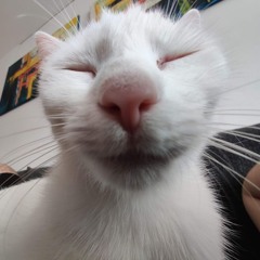 Andrei
