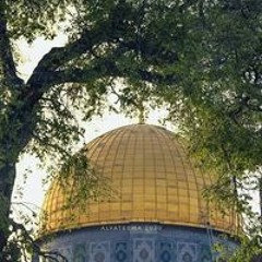 أبو يزن المقادمة