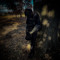 lostwjay