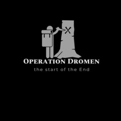 Dromen