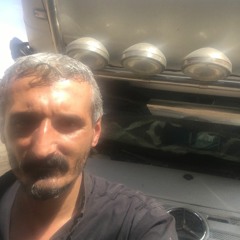 amir