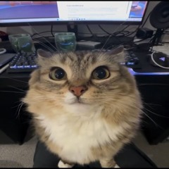 Adaaś