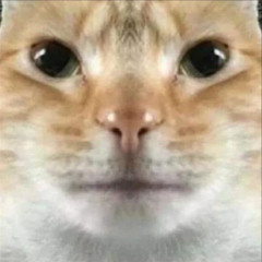 crincklecat