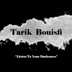 Tarik Bouisfi