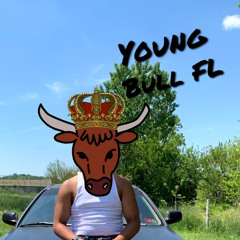 Young Bull FL