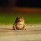 FROGGY THE FROG