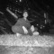 yadu