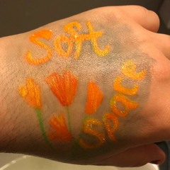 Soft Space