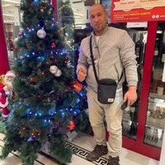 حامد المصري