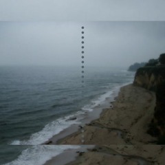 aescidica [Indica Monk]