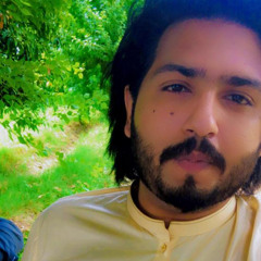 Talha Bashir