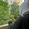Noha Hatem