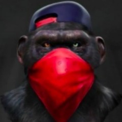 Monkey Trash