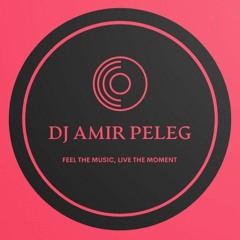 Amir Peleg