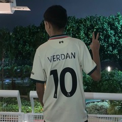 vdzin
