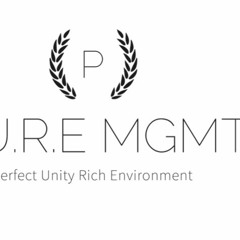 Pure Solutions Mgmt