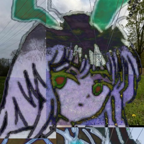 calendula’s avatar