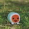 Taiko from Halych