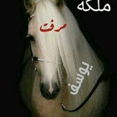 Yousefmira