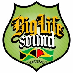 Big Life Sound System