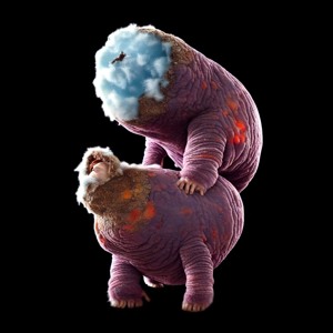 🔴 LoA, Malu & Totholz5D