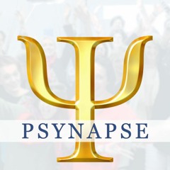 Les Stratégies D'echec Et De Réussite Par Philippe Vernois