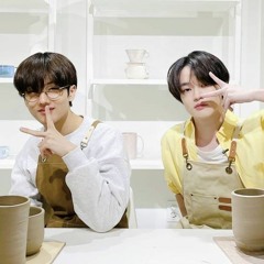 코튼