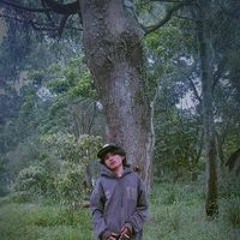 Apan