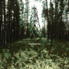 Psy forest trip