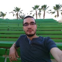 mohamed zayed