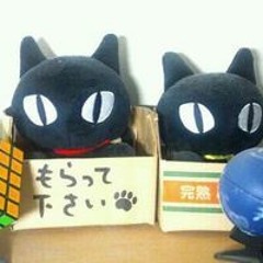 金子 すばる