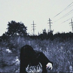 Norvein