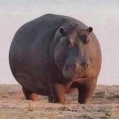 俊 盧