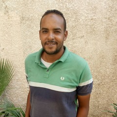 Ahmed bogy