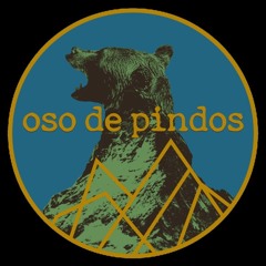 OSO DE PINDOS