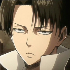Levi