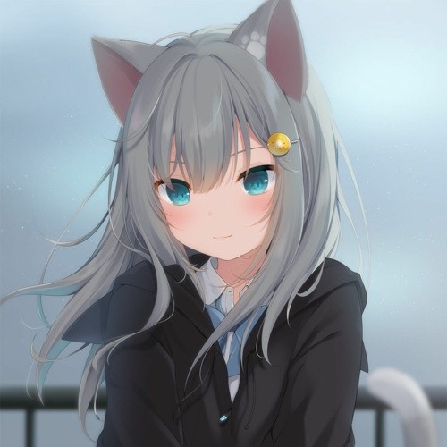 雨晨 夏’s avatar